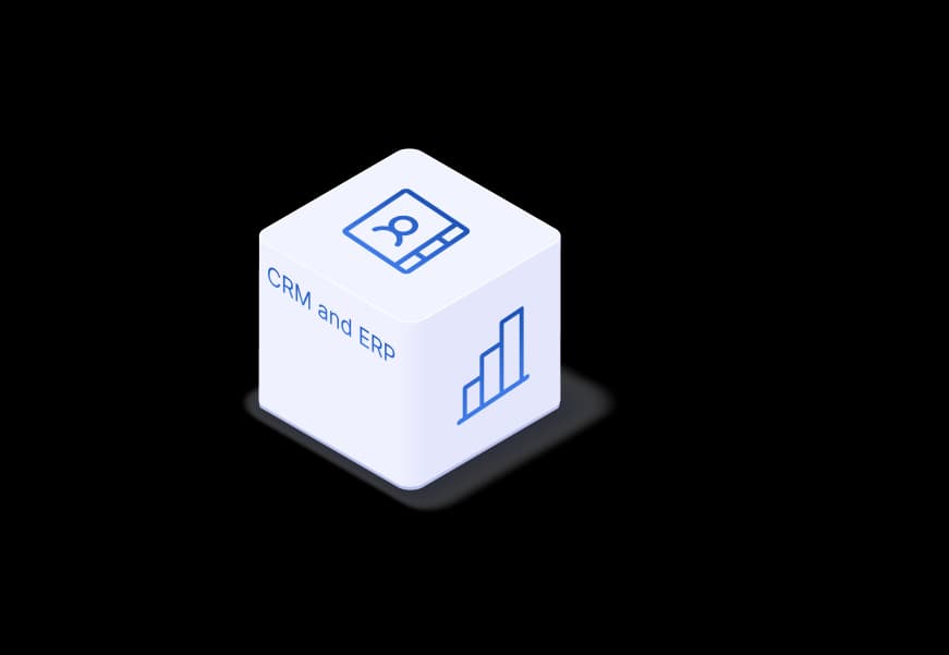 CRM and ERP Services